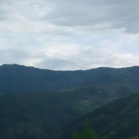 Bed & Breakfast Bleue 3*