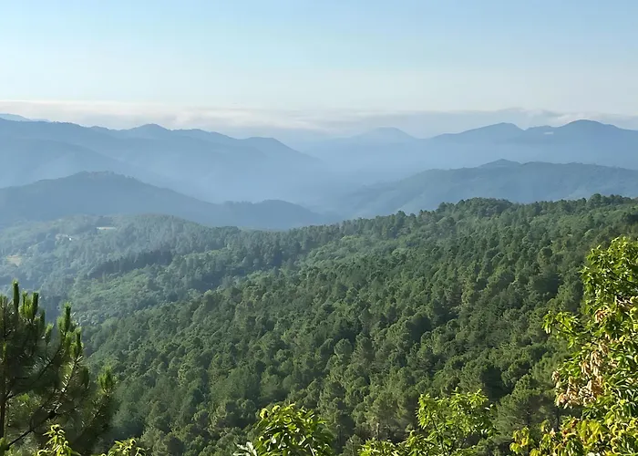 Bed & Breakfast Bleue